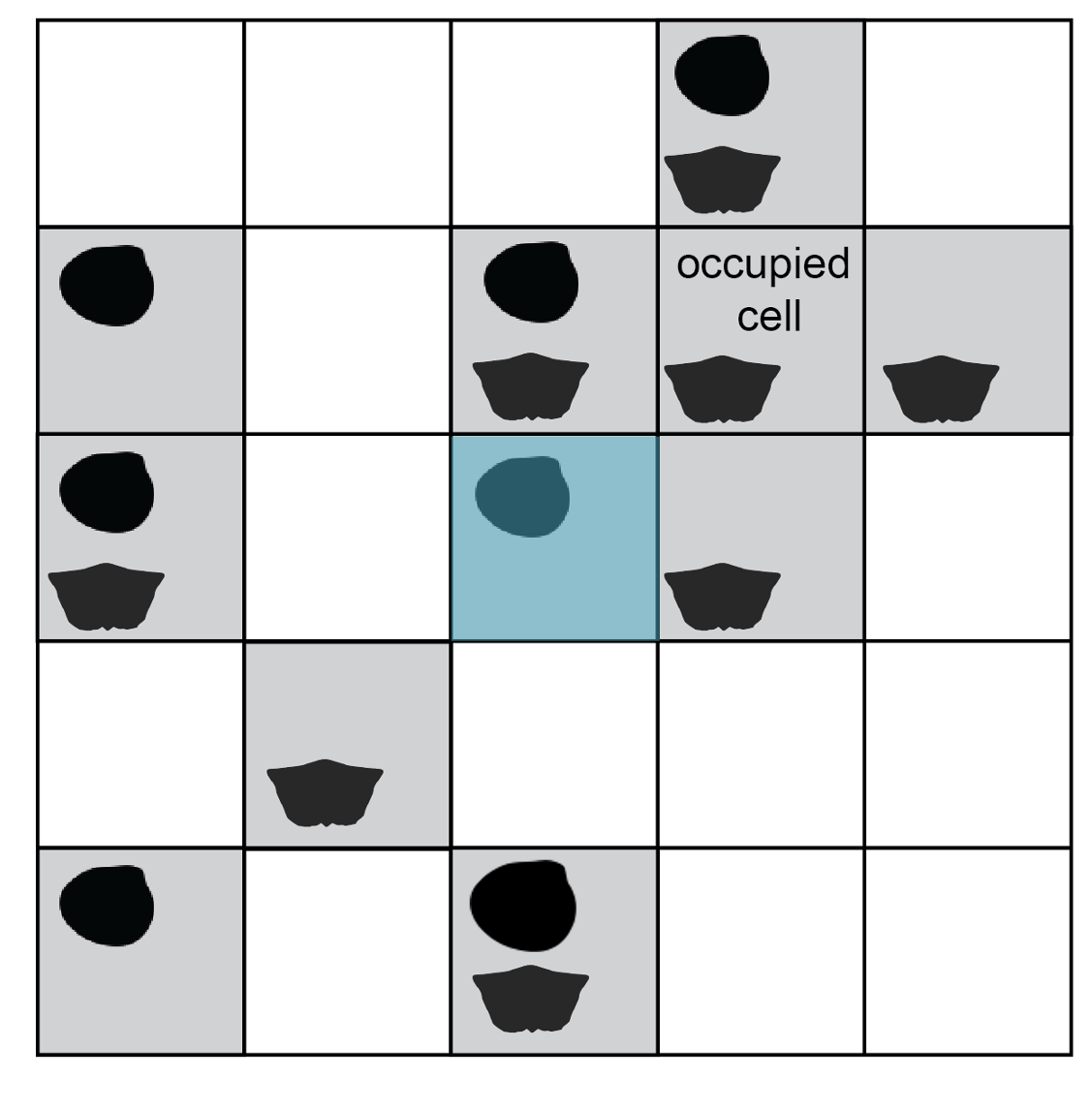 The cell in the center of the grid, containing one clam occurrence, is highlighted.