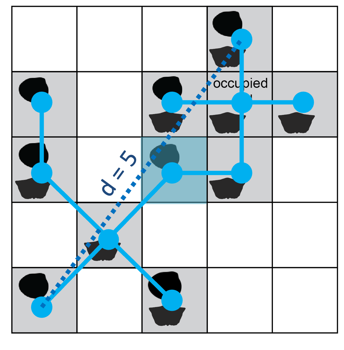 A network of lines is drawn over the grid, with the endpoints of each line connecting two nearby, occupied grid cells. All occupied cells are touched by line ends.